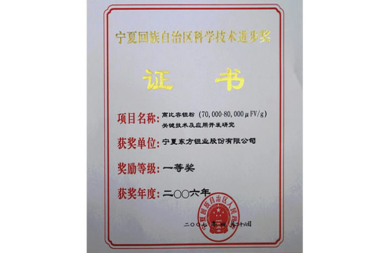 自治区科技进步奖-2006年